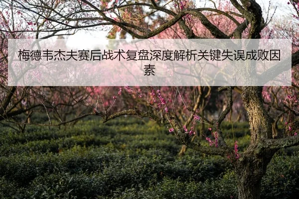 梅德韦杰夫赛后战术复盘深度解析关键失误成败因素