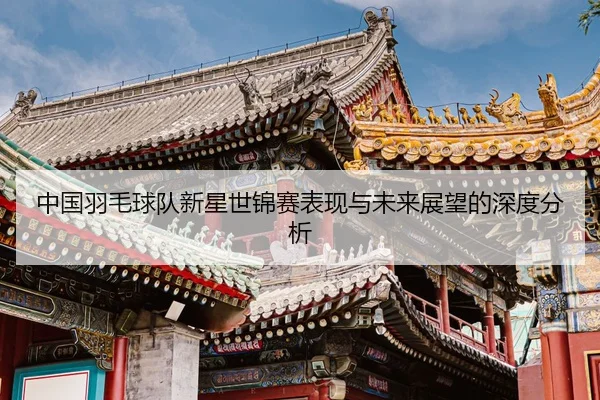 中国羽毛球队新星世锦赛表现与未来展望的深度分析